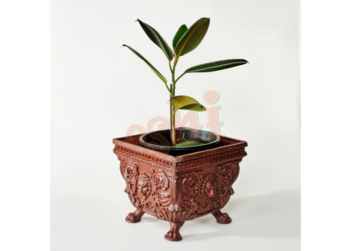 Lion Face Square Urn Urn