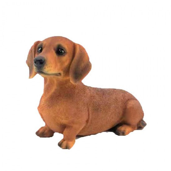 Sausage Dog