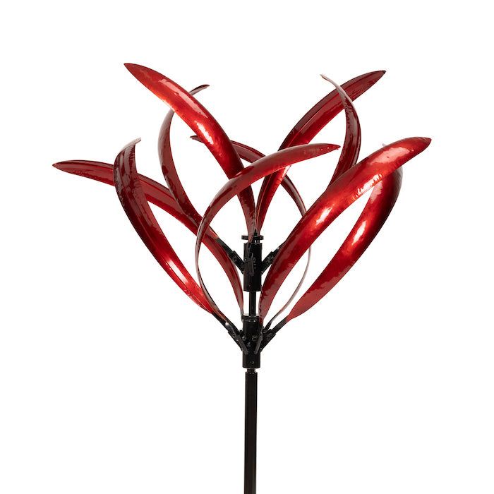 Wind Spinn Grevillea Ruby Red Decor