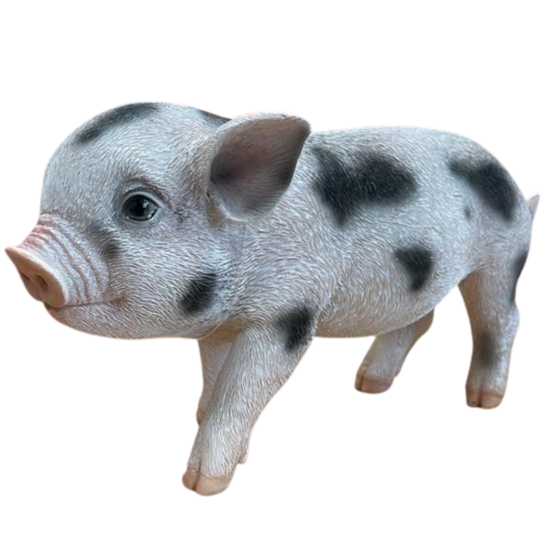 Piglet