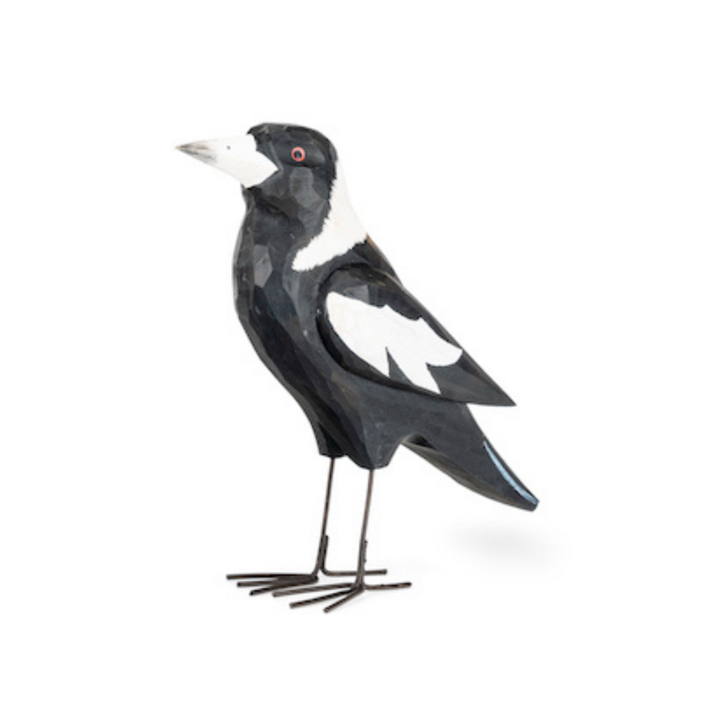 Timber Magpie