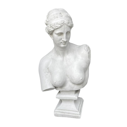 Aphrodite Bust Statue Statue  