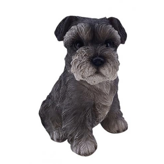Baby Schnauzer Statue Statue
