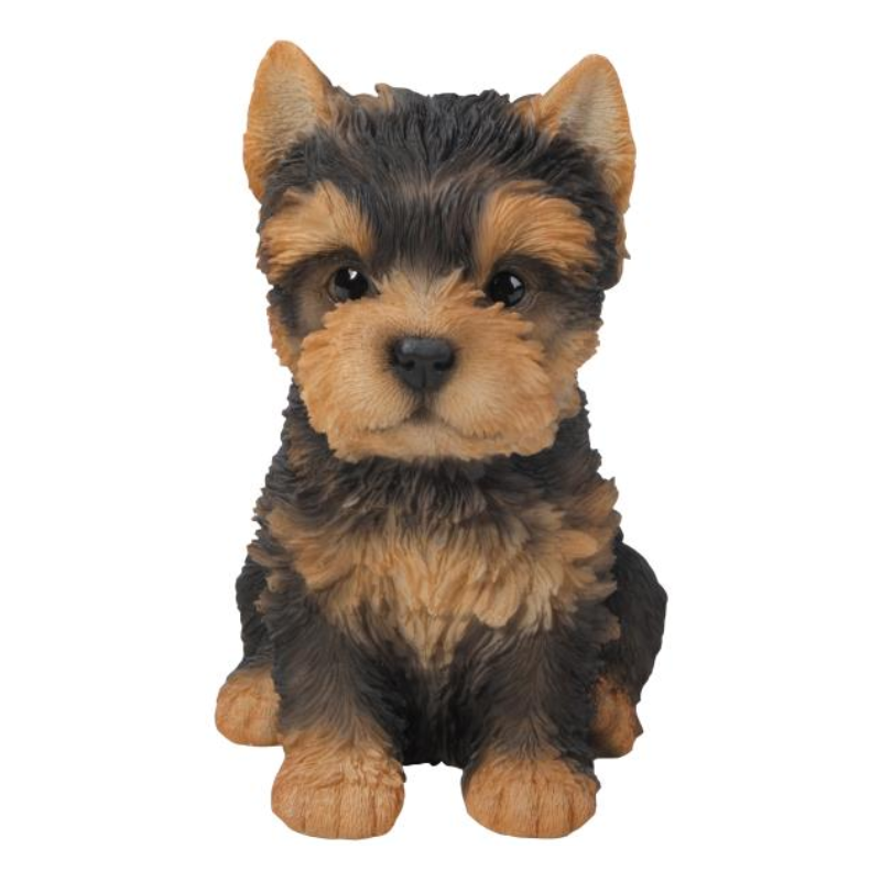 Yorkshire Terrier Sitting - Small Statue