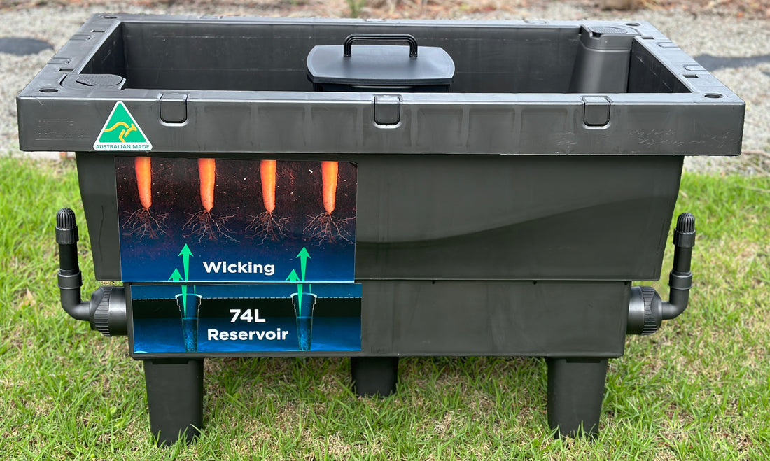 Slim & Worm Composter Combo Foodcube