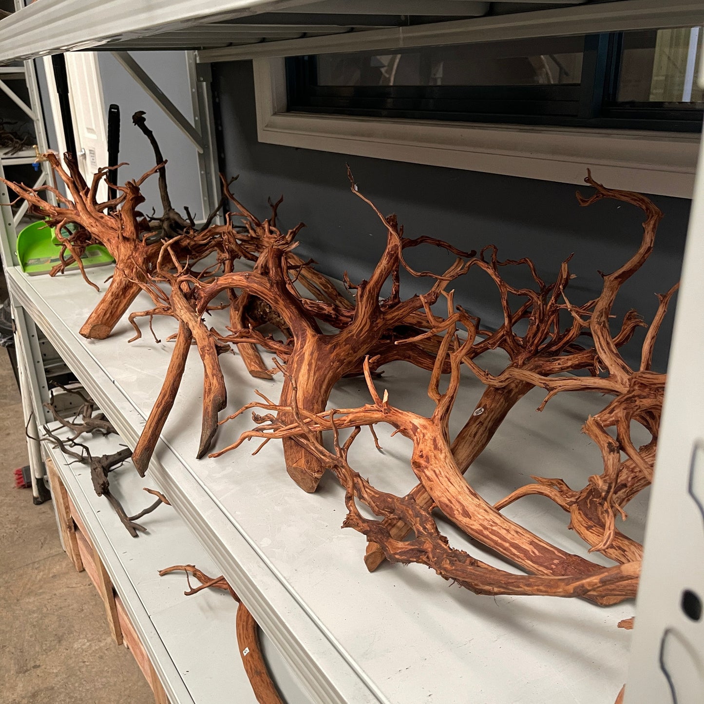 Large Spider Wood (50-70cm) Aquarium Wood