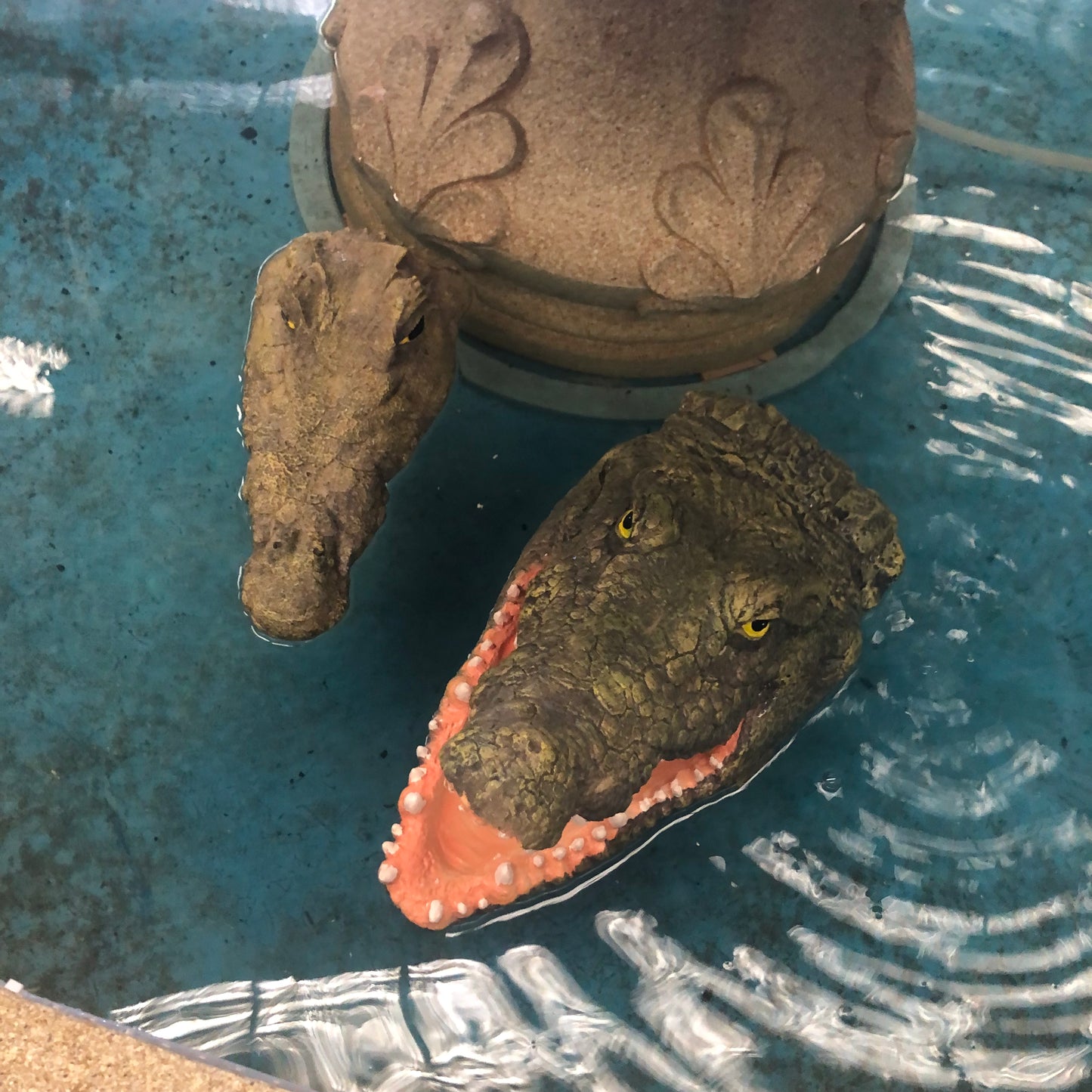 Alligator Home Decor Decor Large