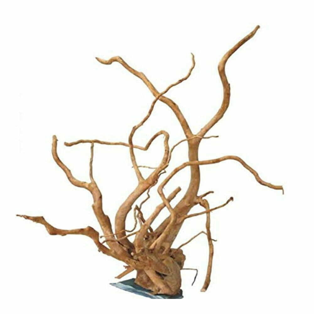 Gold Vine Wood On Slate 20-30cm Aquarium Wood