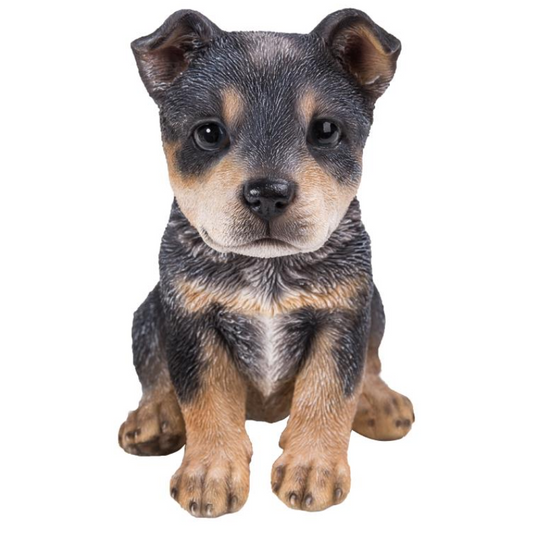 Blue Heeler - Small Statue