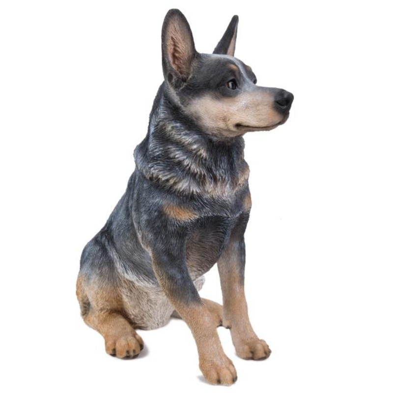 Sitting Blue Heeler Statue