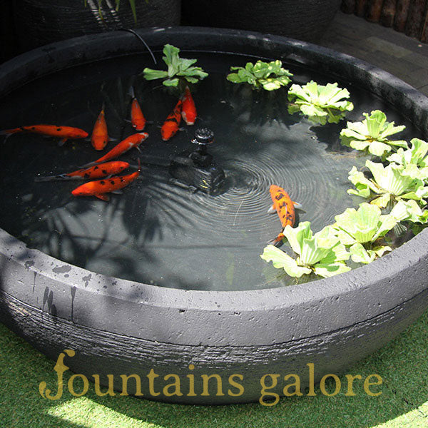 Fish Pond Fountain Water Feature  