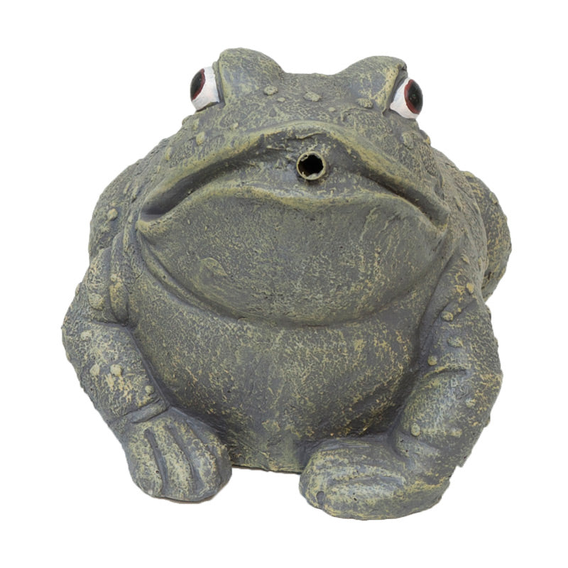 Pond Frog