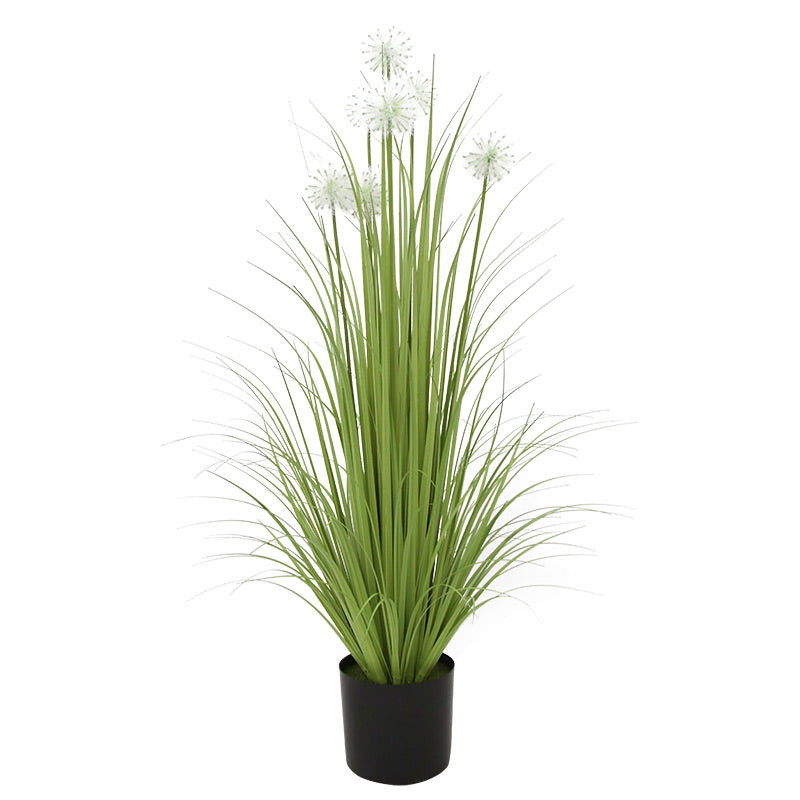 44 DandelionGrass P Pot