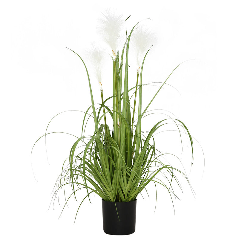 32 Reed Grass Plastic Pot