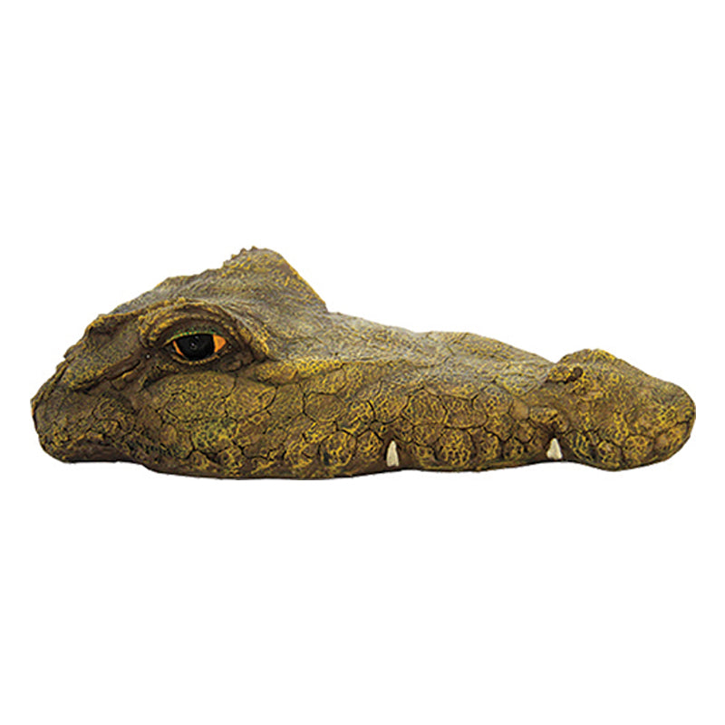 Lurking Croc Floating Ornament 35cm Accessory