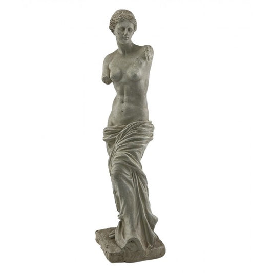 Medium Venus Statue Statue