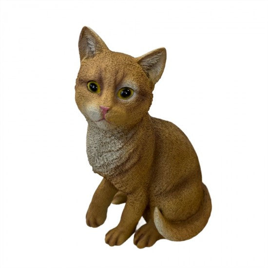 Curious Cat Statue Statue