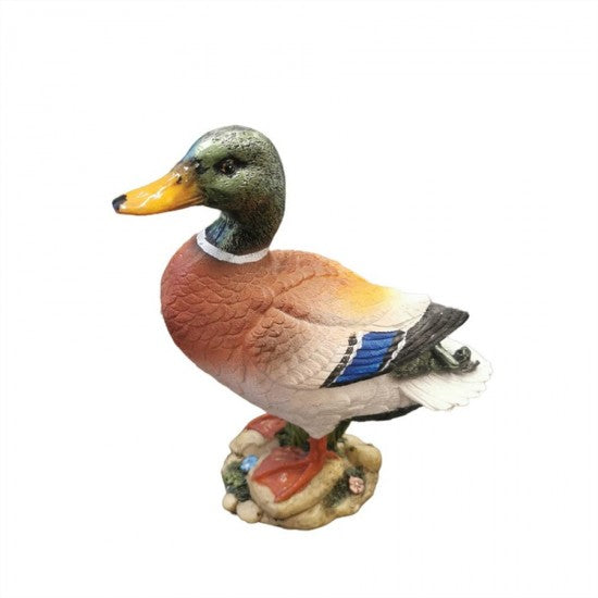 Little Duck Statue