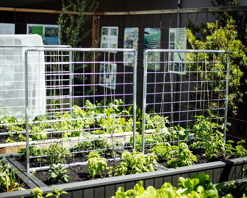 Foodcube Trellis Foodcube