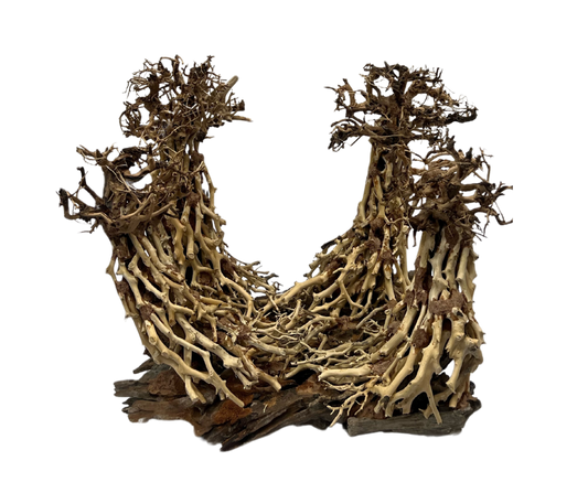 Bonsai Dancing Wood Large Aquarium Wood  