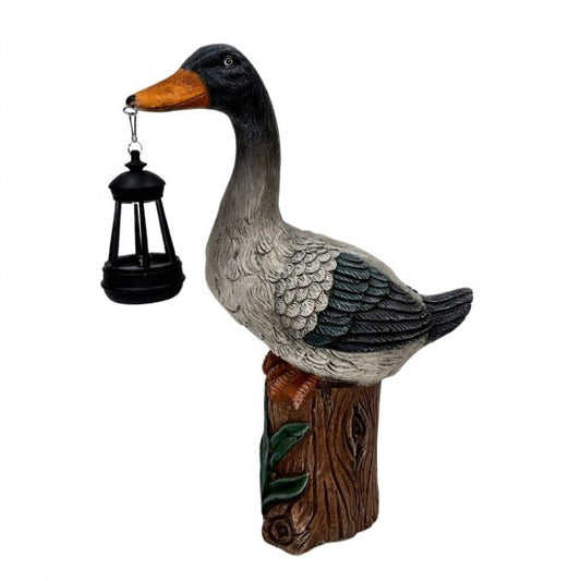 MgO Duck with Solar Light