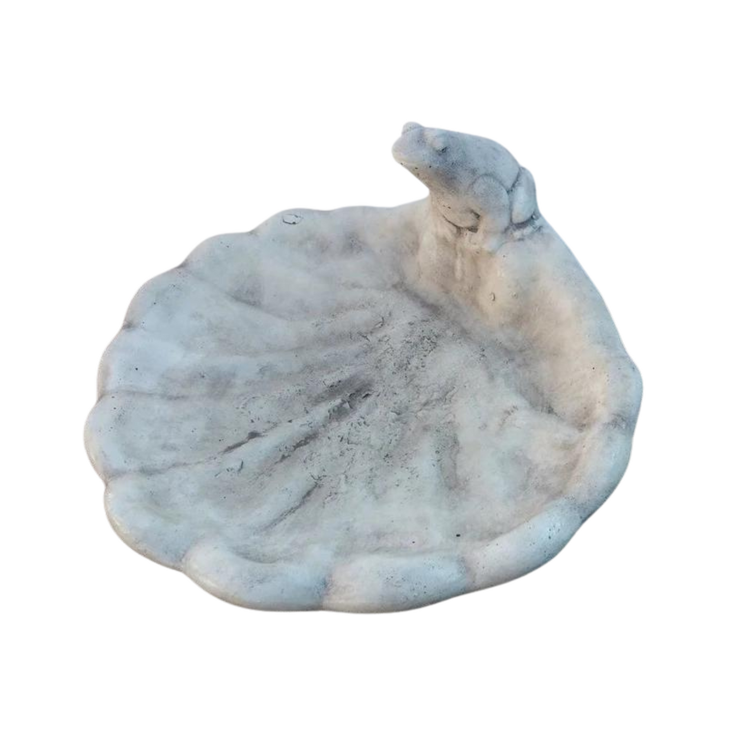 Frog Shell Dish Bird Bath  