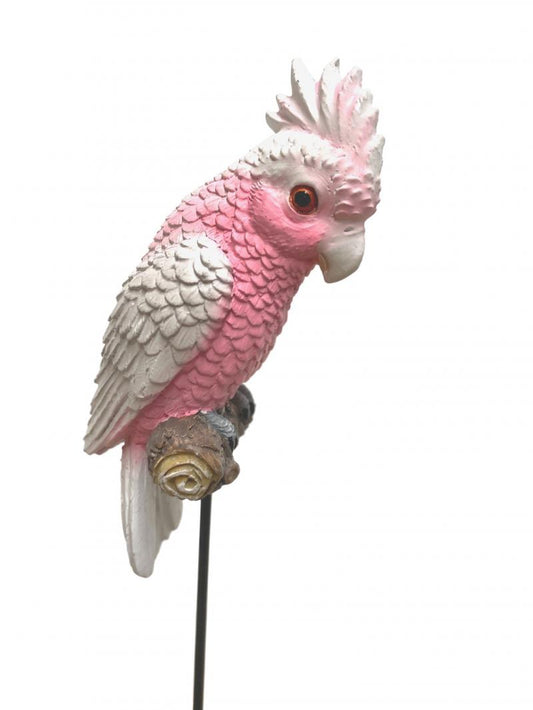 Baby Pink Grey Galah on Stick Statue  