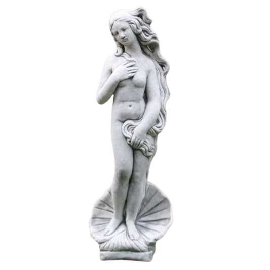 Birth of Venus Statue Statue  