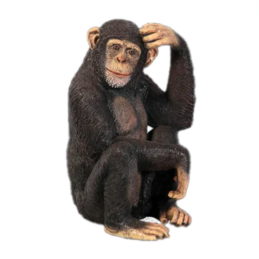 Chimpanzee Fibreglass Statue Statue  