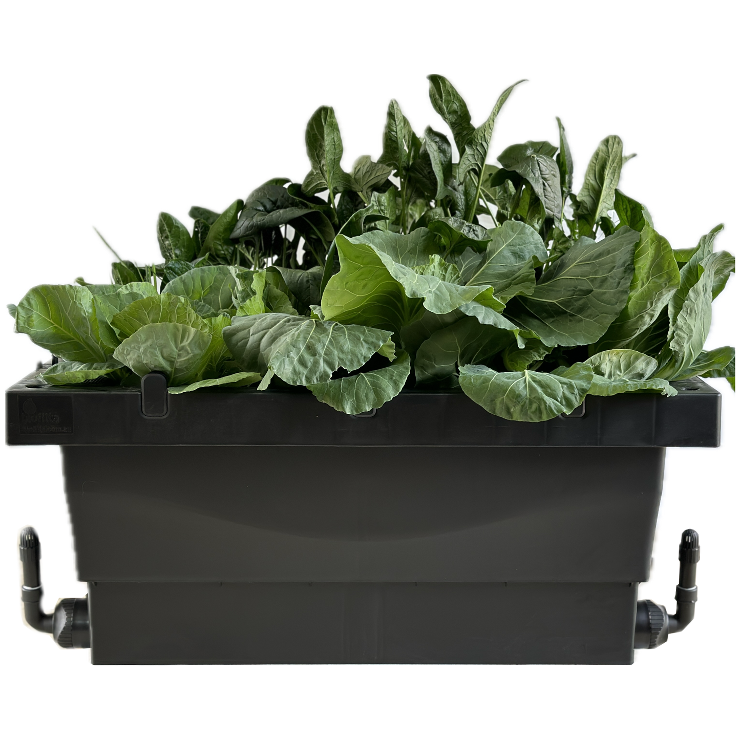 Foodcube Slim Bundle