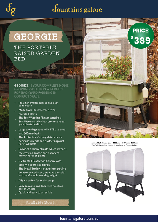Georgie Planter Foodcube