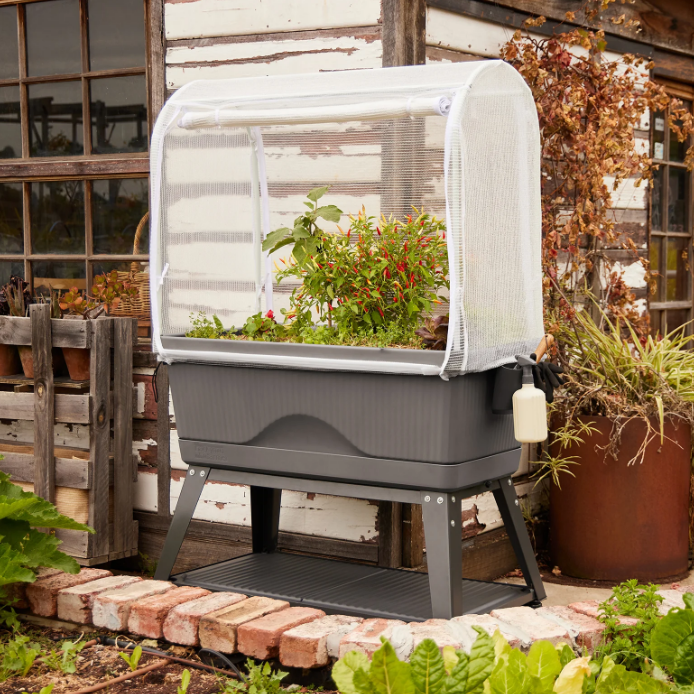 Georgie Planter Foodcube