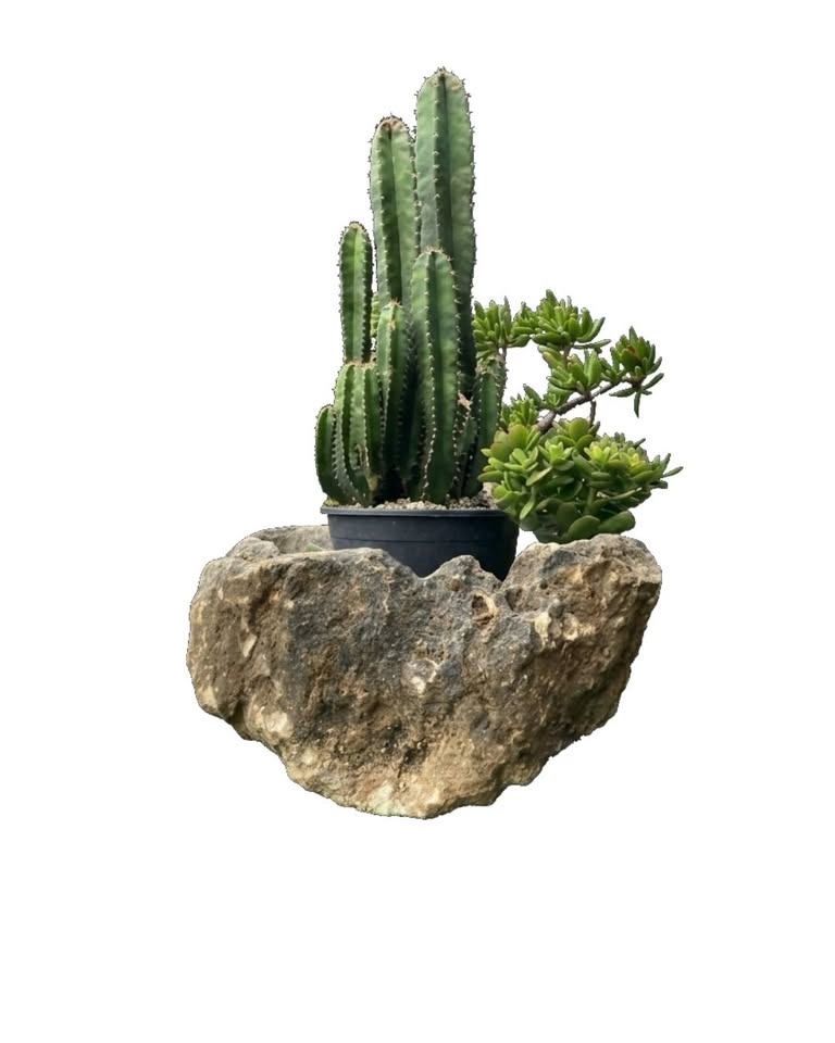 Heartstone Limestone Planter Pots & Planters