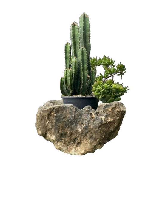 Heartstone Limestone Planter Pots & Planters