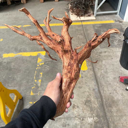 Large Spider Wood (50-70cm) Aquarium Wood