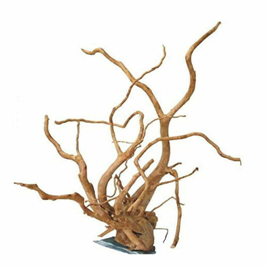 Gold Vine Wood On Slate 20-30cm Aquarium Wood  