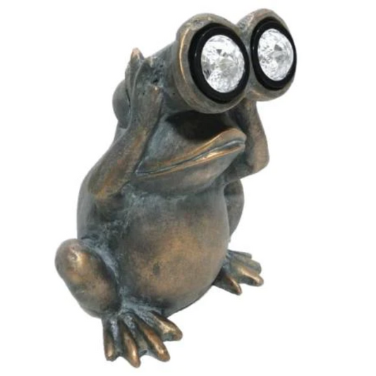 Solar Frog with Binoculars Statue Statue  