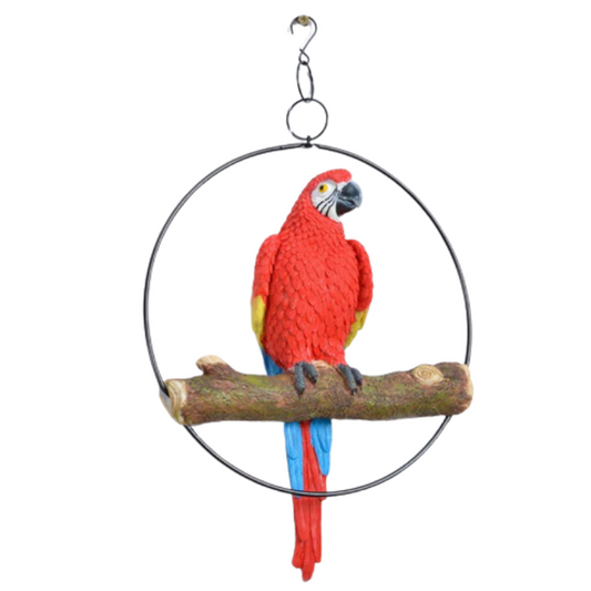 Hanging Parrot in Ring