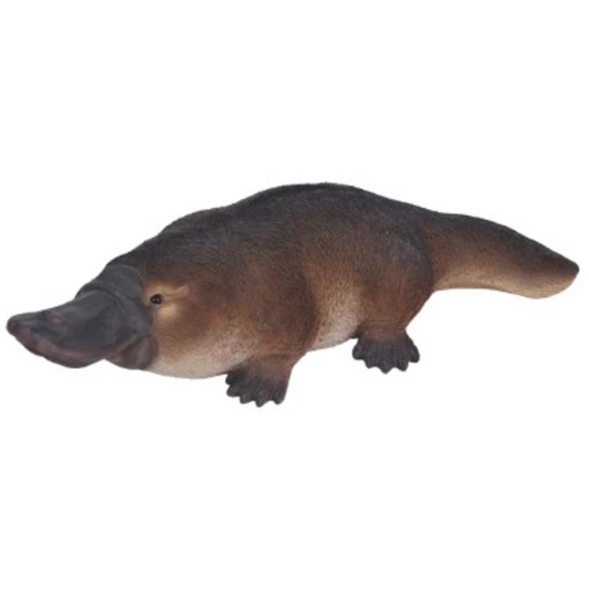 Platypus Statue  