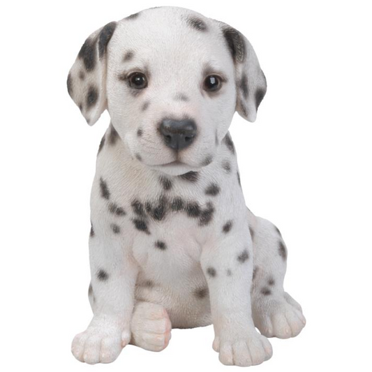 Dalmatian Sitting - Small Statue  