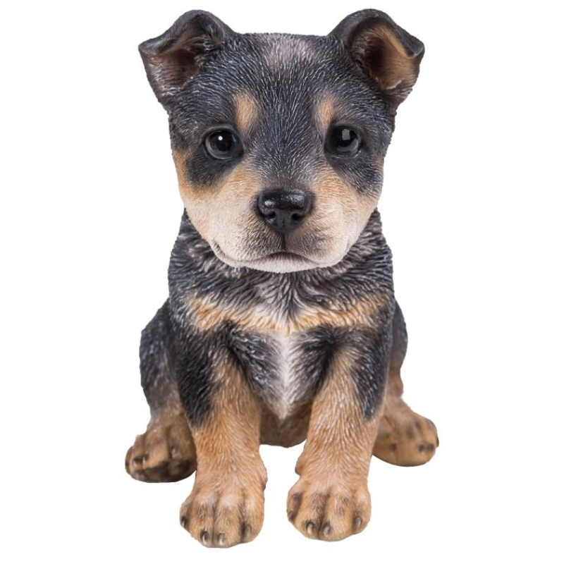 Blue Heeler - Small Statue  