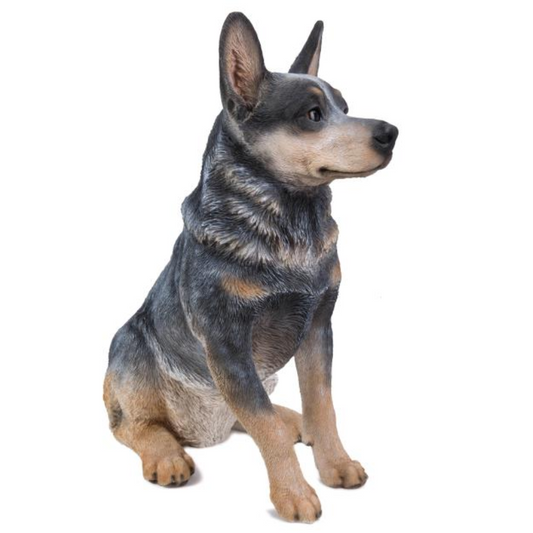 Sitting Blue Heeler Statue  