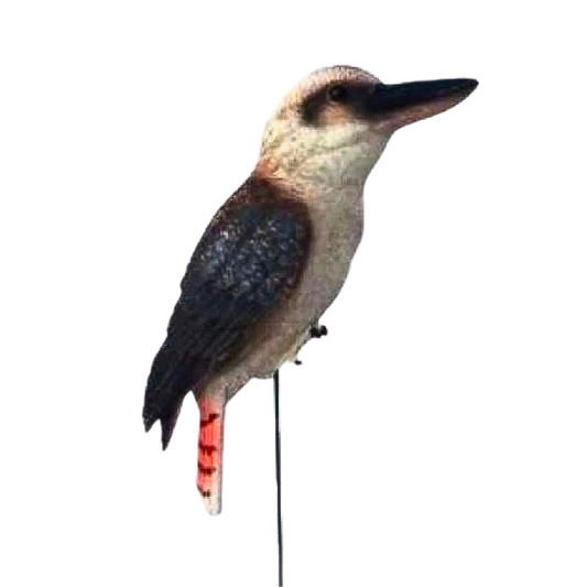Kookaburra On Stick Statue Statue  