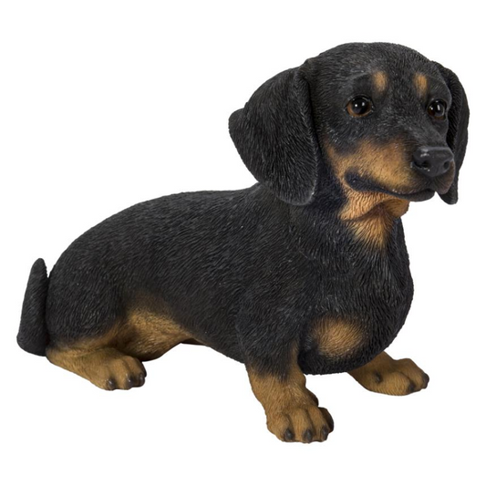 Dachshund Sitting - Black & Tan Statue  