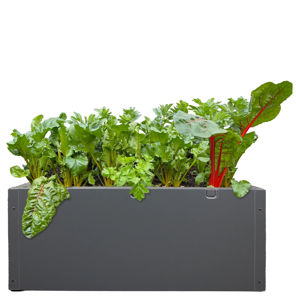 Foodcube Slim Cladding Single Set