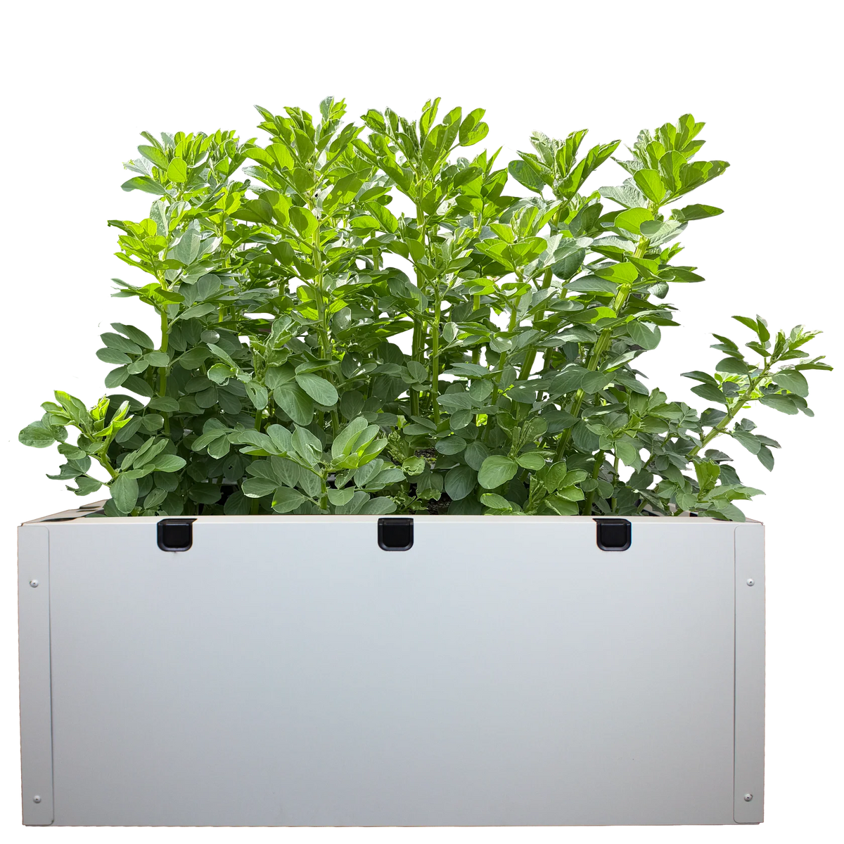 Foodcube Slim Cladding Single Set
