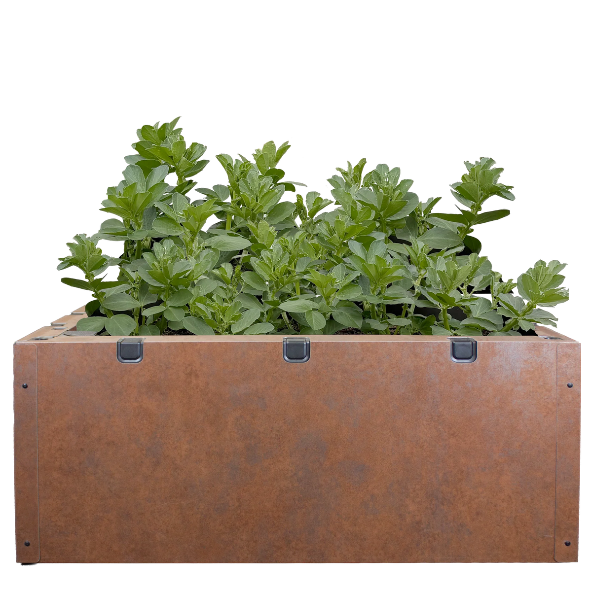 Foodcube Slim Cladding Single Set