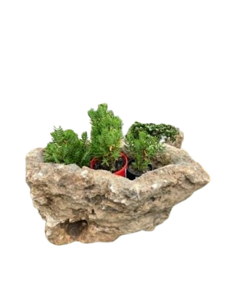 The Classic Triad Limestone Planter Pots & Planters