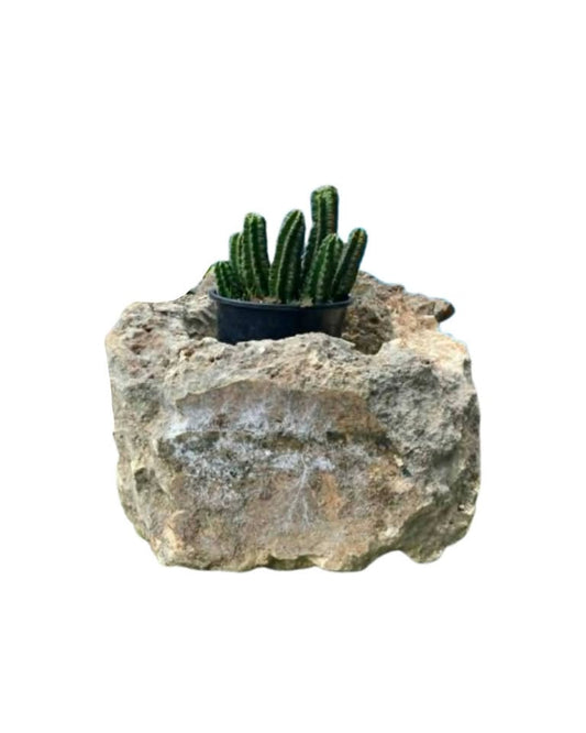 The Cubic Limestone Planter Pots & Planters