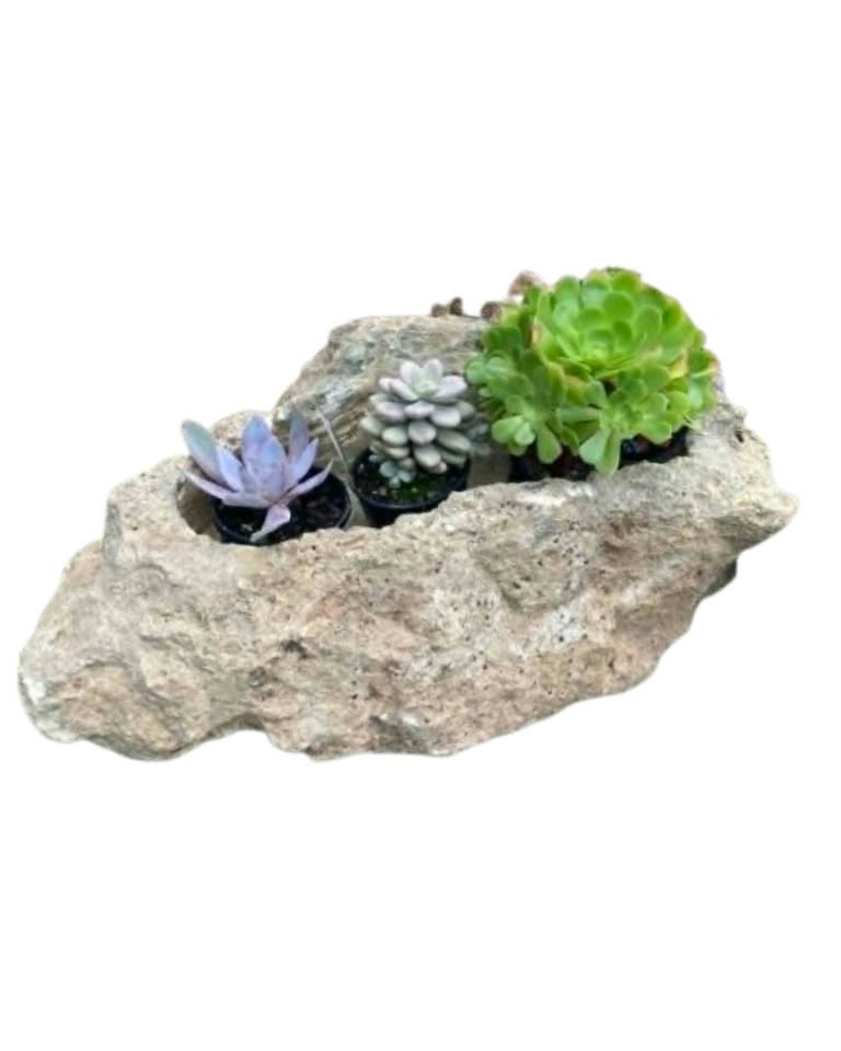 The Stoic Limestone Planter Pots & Planters